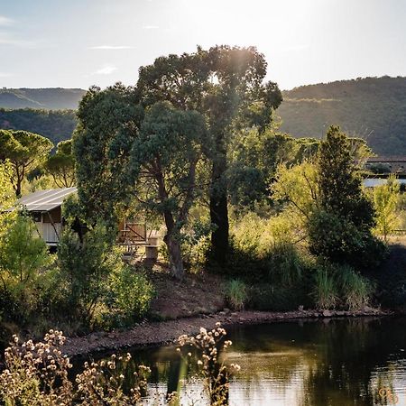 Le Puech Domaine De Mont Redonヴィラ エクステリア 写真